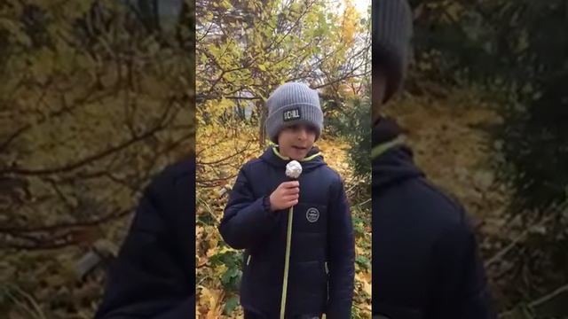 Урок-презентация "Уральские горы" смотреть онлайн