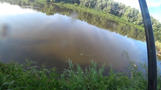 Река Днепр немного порадовала голавлём! Ловля на полудонку! смотреть онлайн