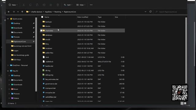 How to Choose & Apply an RTM Bootstrap to the Raptoreum Core Wallet with Charlie -@ RTM Core смотреть онлайн