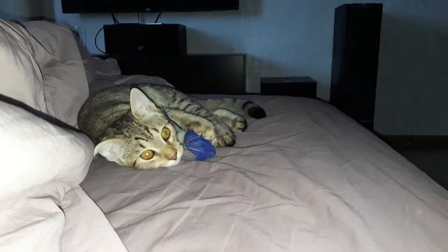 Агафон смотреть онлайн