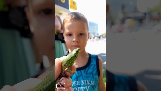 Crow JinsanKim (2022) смотреть онлайн