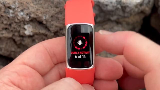 Fitbit Charge 6 In-Depth Review: 12 New Things to Know! смотреть онлайн