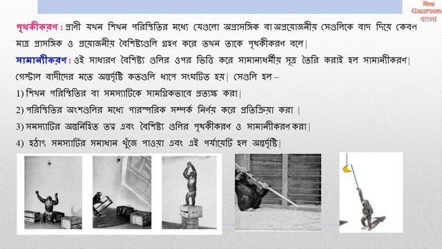 গেস্টাল মতবাদ কি ? গেস্টাল মতবাদের মূল সূত্র বা নীতি || Gestalt Theory of Learning | смотреть онлайн