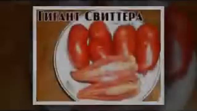 самые лучшие семена помидор смотреть онлайн