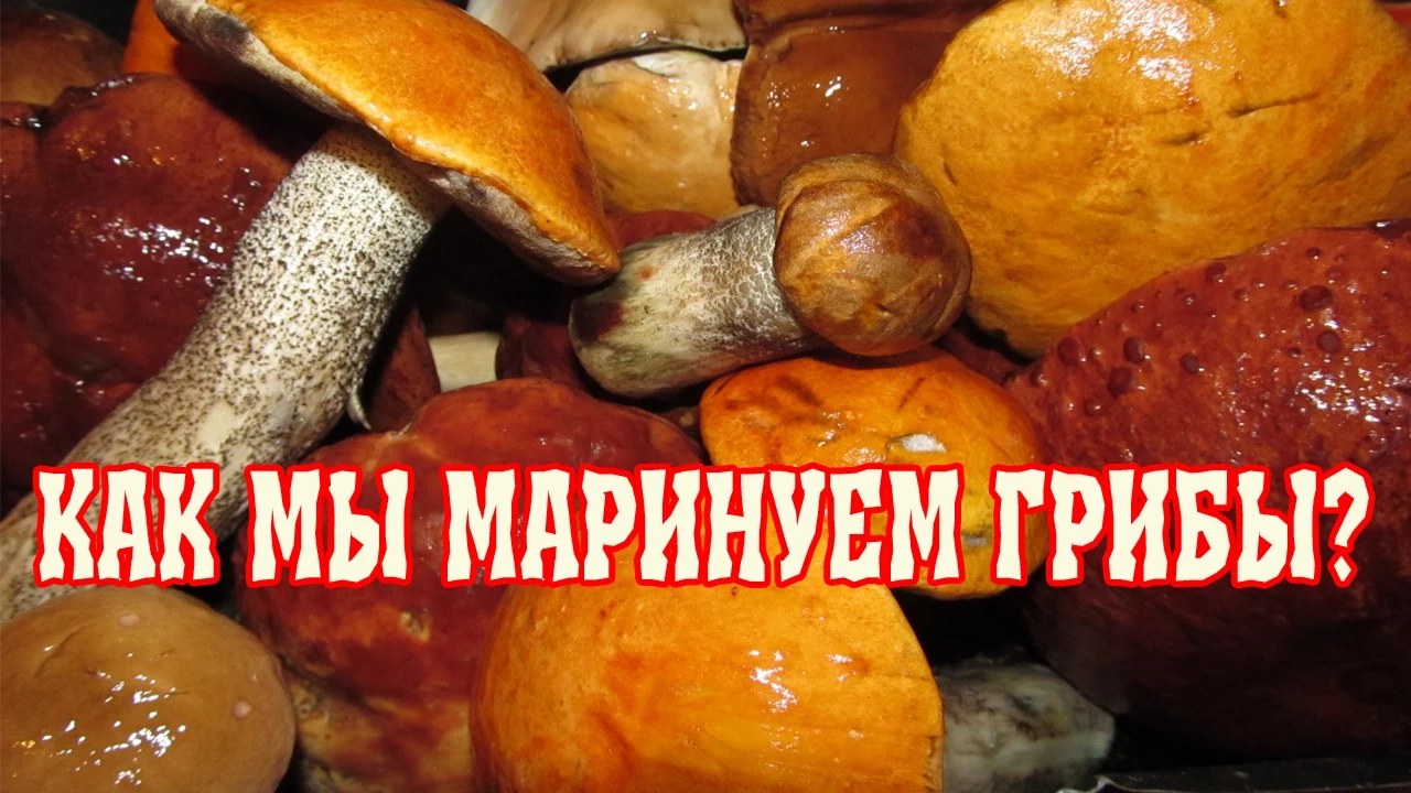 Маринованные грибы на зиму