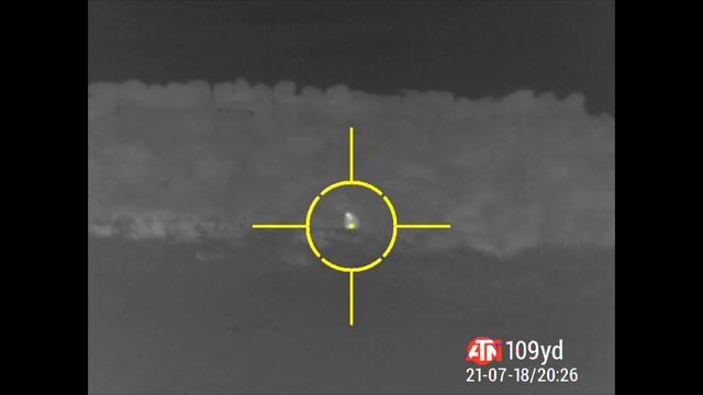 ATN Mars 4 Thermal Scope On CZ452 Style 22lr Rimfire смотреть онлайн