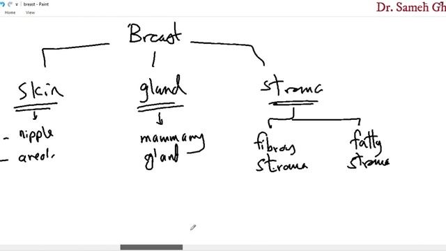 Anatomy of mammary gland and its lymphatic drainage . смотреть онлайн