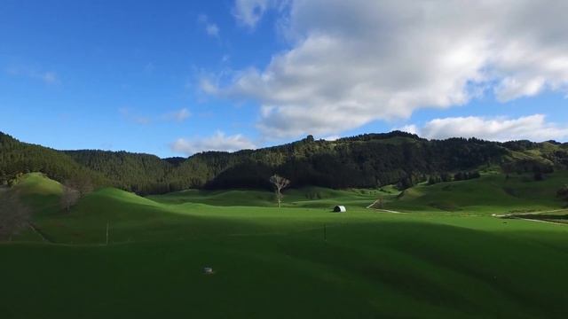 Каустикум. Дуглас Борланд смотреть онлайн