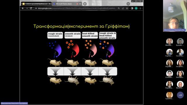Анастасія Шаповалова. Стійкість до антимікробних засобів. Механізми розповсюдження смотреть онлайн