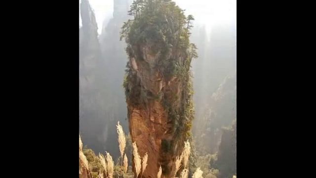 Ду Фу. Страна распадается с каждым днем. смотреть онлайн