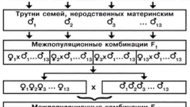 НООЦЕНОЗ. часть-1 