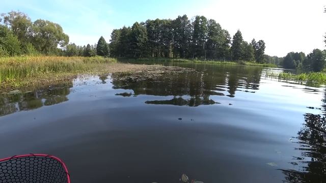 Ловля щуки на воблеры. Рыбалка на малой реке. Твичинг смотреть онлайн