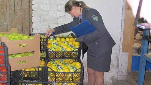 Ввоз турецких мандаринов в Россию приостановили смотреть онлайн