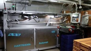 GHD Hartmann. Selectra 50 + GBK 420. Упаковка половинок формового хлеба.