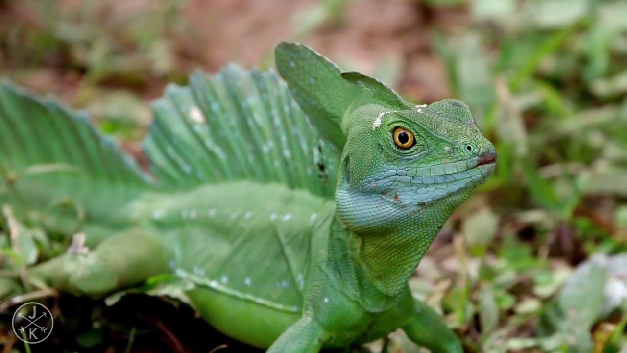 import_1 смотреть онлайн