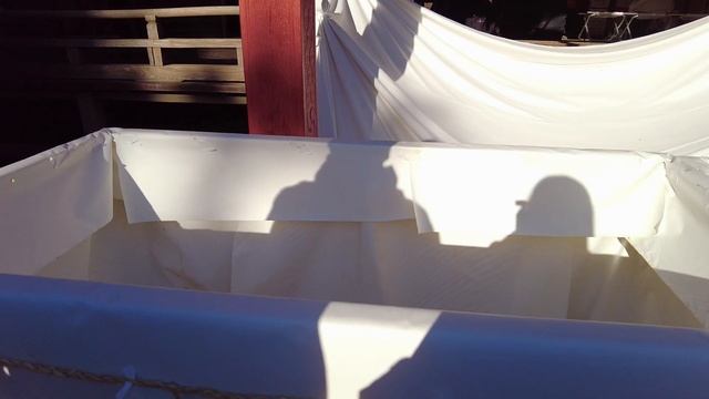 Experience the Japanese New Year Tradition ⛩️?? | The first sunrise of 2024 ? | Japan Travel смотреть онлайн