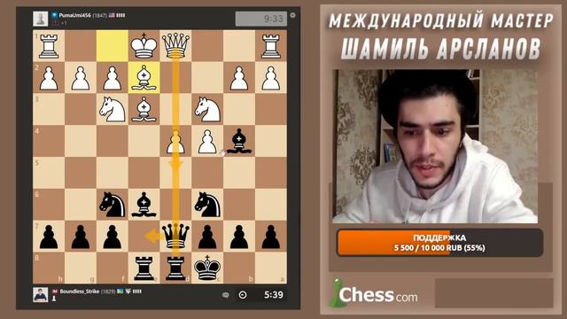 Исландский Гамбит Современная Скандинавская партия смотреть онлайн