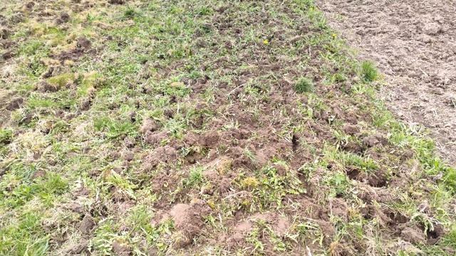 Простой способ посева клевера/люцерны мотоблоком прямо по траве смотреть онлайн