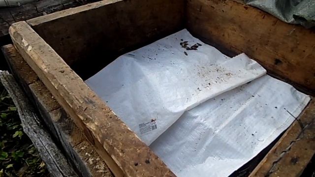 Пчелы. 30 октября 2023 года. Утеплить пчел в зиму и не навредить... смотреть онлайн