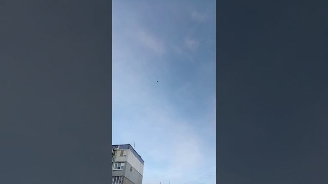 голуби, такла голуби, ankara, pigeons, голуби, Такла анкара турецкая такла смотреть онлайн