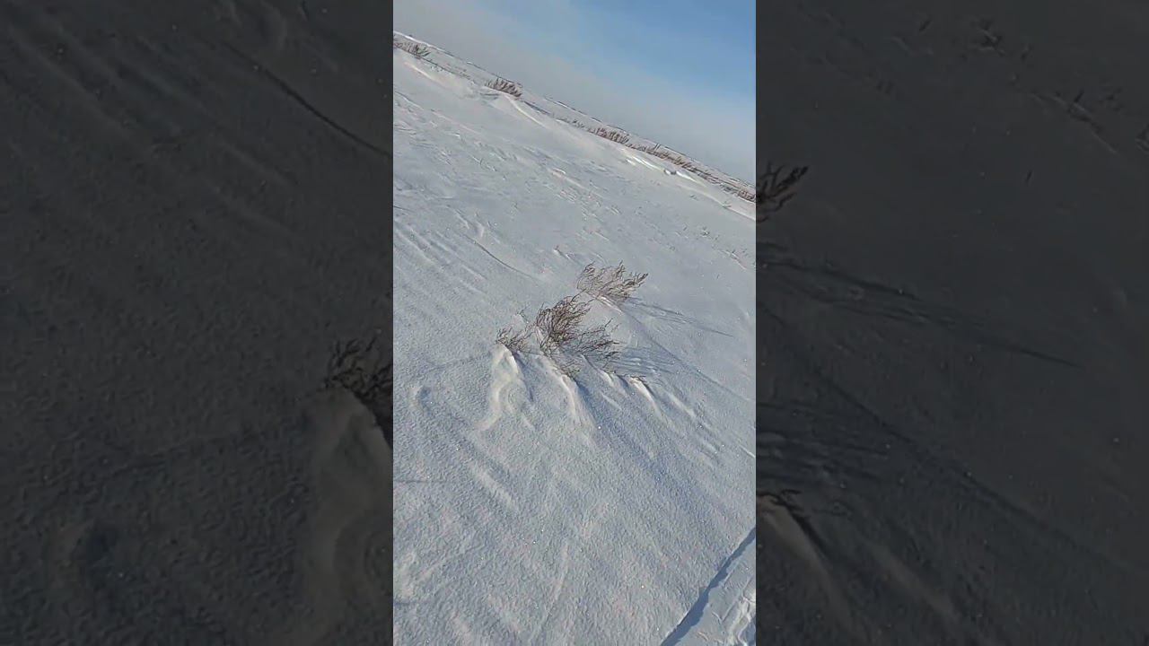 Охота на Зайца. Разбор полета после промаха #охота #охотаназайца смотреть онлайн