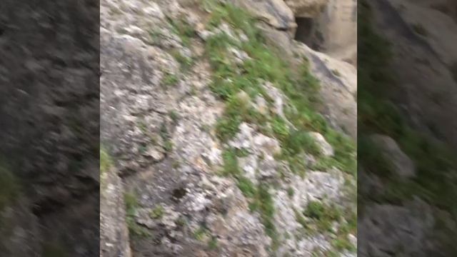 Зеркальный БАРС смотреть онлайн