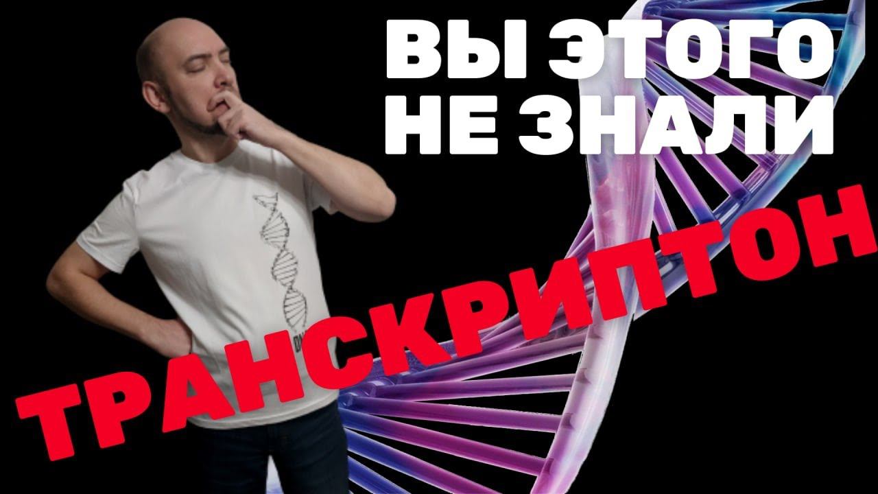 Что такое транскриптон и какова его структура? Душкин объяснит смотреть онлайн