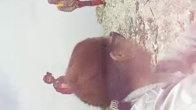Бейс это Экстрим смотреть онлайн