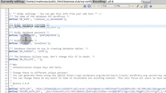 11 How to work with databases on Bluehost смотреть онлайн