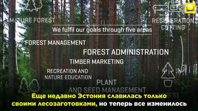 Эстония развитая страна смотреть онлайн