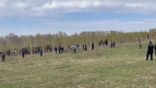 Бузкаши Р/Ф /Р .Город Новосибирск . смотреть онлайн