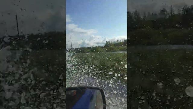 Лесные покатушки на ЛАДЕ КАЛИНА смотреть онлайн