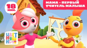 Цветняшки —  Мама - первый учитель малыша  — Сборник в помощь мамам — Мультик для детей