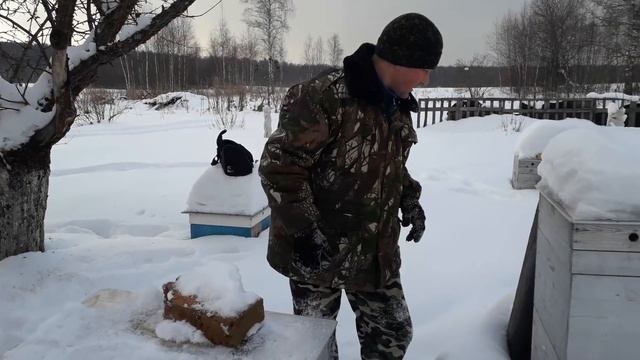 2018г. || Февральский осмотр пчёл.КАНДИ.