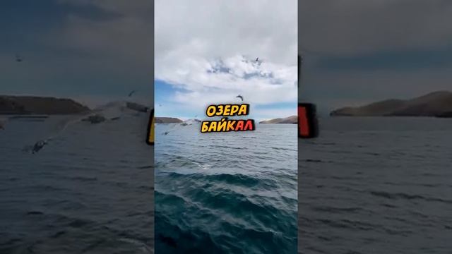Максимальная глубина озера Байкал смотреть онлайн