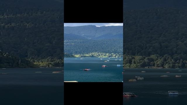 Абхазия рица