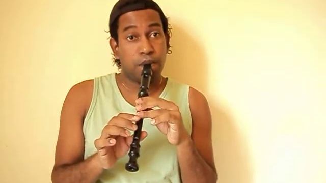 parabens pra voce ( happy birthday to you ) na flauta doce - Tuninho Bessa смотреть онлайн