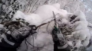 ТОФАЛАР 600.ПОДЛОМ ГУСЕНИЦЫ. РАСХОД ТОПЛИВА.ЗАЕХАЛИ В ДЕБРИ