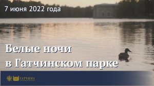 Белые ночи в Гатчинском парке