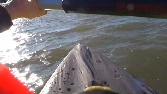 Финский залив на байдарке02 смотреть онлайн