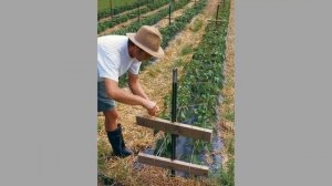 Лайфхаки для дачи и сада. Интересные идеи как облегчить себе жизнь.