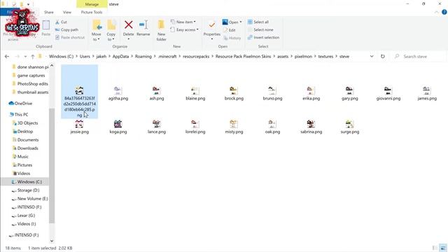Customising Player And NPC Skins In Pixelmon MINECRAFT