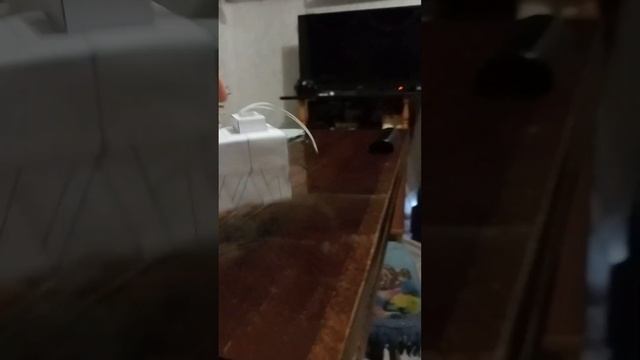 все мои троллейбусы из бумаги