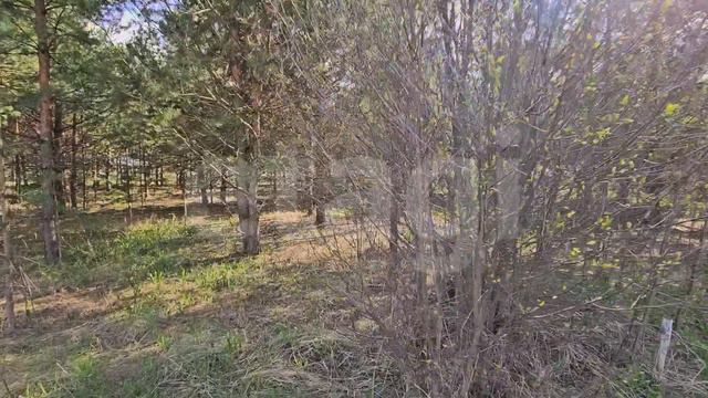 орбита 2, участок 115 смотреть онлайн