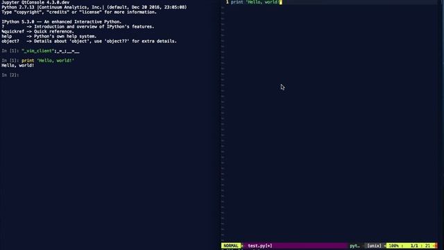 Demonstration of the Jupyter QtConsole + Vim integration смотреть онлайн