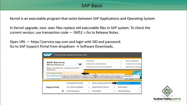 SAP Basis - Kernel Update & Download смотреть онлайн