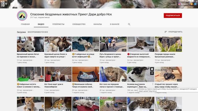 Контент-стратегия YouTube-канала. Они спасают животных @The_fate_of_the_shaggy смотреть онлайн