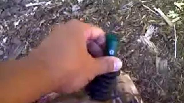 squirrel call or buster(hunting demo) смотреть онлайн