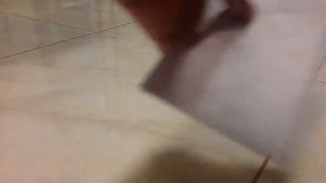 Pokemon pack unpacking and angry bird cards unpacking смотреть онлайн