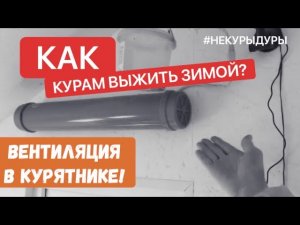 Вентиляция в  курятнике. Яйценоскость зимой. Как сохранить.